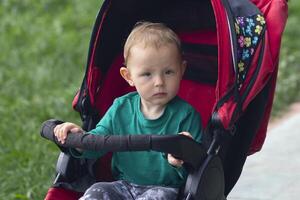 A small child in a stroller for a walk in the park photo