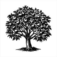 ink sketch apple tree black vector