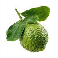Realistic Bergamot on White Background photo