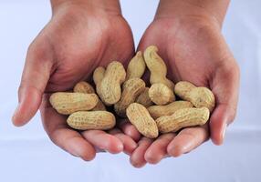 Two hands holding whole peanuts in shells over white background surface photo