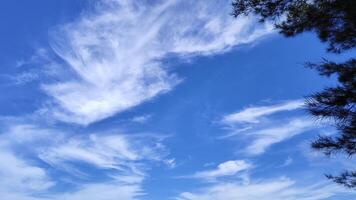 Soft White Clouds in Bright Blue Sky Create Calm and Serene Landscape photo