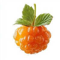 Realistic Cloudberry on White Background photo