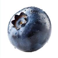 Realistic Blueberry on White Background photo