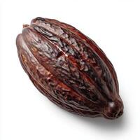 Realistic Cocoa on White Background photo