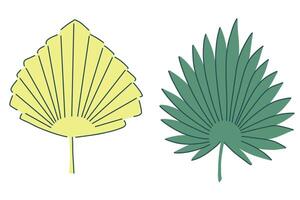 tropical green leaves set. palm leaves in simple flat style. illustration. Perfect for prints, packaging, invitations, branding, backgrounds, textile vector