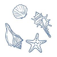 Detailed line drawings of various seashells and a starfish on a plain background vector