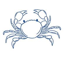 Crab illustration with detailed features showcasing its unique structure and design vector