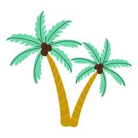 Palm trees with coconuts create a tropical vibe in a sunny environment vector