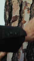 Hands Of An Elderly Man Touches The Bark Of A Tree Trunk video