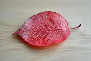 A red leaf on a table photo