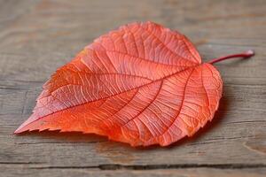 A red leaf on a wooden surface photo