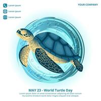 World Turtle Day design with a turtle in the water vector