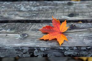 A red leaf on a wooden bench photo
