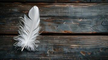 White feather on wooden background photo