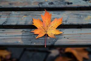 A maple leaf is sitting on a wooden bench photo