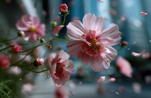 Pink flowers are blowing in the wind photo