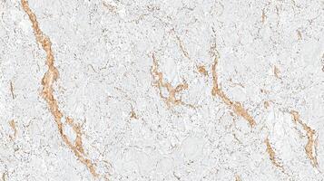 White Quartz Slab with Golden Veins photo