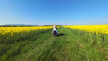 Cinematic FPV drone shot of woman riding motorcycle through blooming yellow rapeseed field on sunny day. Energetic countryside lifestyle scenery for freedom and summer themes. video