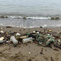 A beach with trash and debris on it photo
