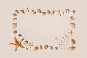 Frame with seashells and starfish with shadow on beige pastel background at sunlight. Summer vacation nautical pattern. Minimal flat lay with natural shells, sea stars, stone. Top view. photo