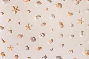 Seashells and starfish with shadows on beige pastel background at sunlight. Summer vacation concept. Nautical pattern. Minimal flat lay with natural shells, sea stars, stones, sea life theme photo
