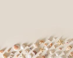 Seashells and starfish with shadows on beige pastel background at sunlight. Summer vacation concept. Nautical design. Modern flat lay shells, sea stars, stones minimal style. Top view photo