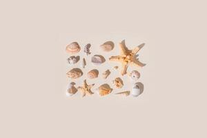 Square creative composition from seashell, starfish, stones with shadow on beige background. Summer concept. Nautical pattern pastel colored. Aesthetic trend layout shells, sea stars photo
