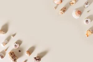 Seashells and starfish with shadows on beige pastel background at sunlight. Summer vacation concept. Nautical and sea life theme. Minimal top view with natural shells, sea stars, stones photo