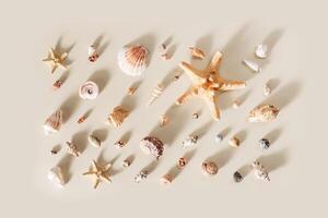 Square composition from seashells, starfish, stones with shadow on beige background. Summer concept. Nautical pattern pastel colored. Aesthetic trend layout shells, sea stars photo