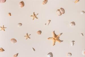 Seashells and starfish with hard shadows on beige background. Summer concept. Nautical pattern pastel colored. Aesthetic trend layout shells, sea stars, minimal style creative composition photo