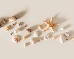 Seashells and starfish with shadow on beige pastel background at sunlight. Summer vacation concept. Nautical and sea life theme. Minimal top view with natural shells, sea stars, stones. photo