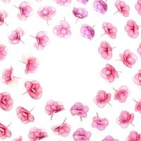 Floral round frame from fresh Hydrangea flower pink color. Holiday card or invitations for Mothers day, 8 March, Womens day with small blossoms and copy space. Flowery spring or summer design photo