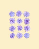 Natural Hydrangea violet flower, minimal floral pattern on beige background colored. Layout with fresh flowers. Spring holiday concept, for Mothers day, 8 March, Womens day. Flat lay photo