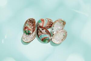 Abalone seashells floating on clear turquoise water with sun glare and waves. Shells of natural iridescent and rough textures. Minimal style top view pattern sea and ocean life backgrounds photo