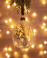 Hanging Christmas Glass bauble filled dried flowers, grass. Botanical Christmas ornaments with blurred bokeh background. Design transparent ball for New Year or xmas treey photo