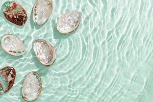 Abalone seashells floating on clear turquoise water with sun glare and waves. Shells of natural iridescent and rough textures. Minimal style pattern sea and ocean life background, copyspace photo