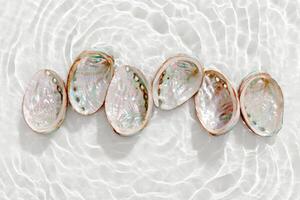 Colored closeup shells floating on waves clear white sea water at sunlight. Beauty nature textured Seashells, marine life, nautical style, Minimal summer aesthetic, beach lifestyle, soft pastel color photo