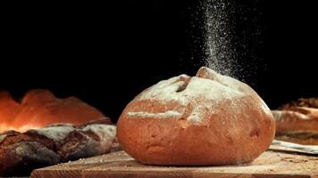 Flour falls on fresh bread. Filmed on a high-speed camera at 1000 fps. High quality FullHD footage video