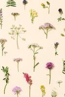 Top view fresh meadow flowers and grass Summer field plants as creative floral composition photo
