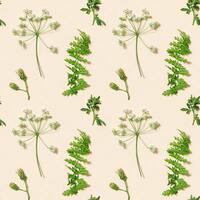Summer field plants as creative floral composition or natural seamless pattern. Botanic flat lay. photo