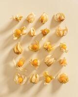 Collection of physalis berries or golden berry on beige Physalis fruit food ingredient. Flat lay, pattern photo