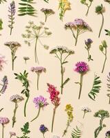 Varied forest grass and meadow flowers as stylish botanical background Flat lay flowery pattern photo