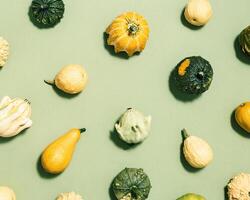 Pumpkin, gourd, squash of different shapes and colors top view on green paper. Autumn flat lay photo
