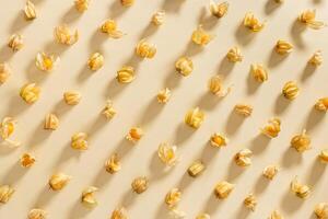Collection of physalis berries or golden berry Physalis fruit food ingredient. Top view pattern, flat lay. photo
