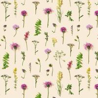 Seamless pattern from varied forest grass and meadow flowers. Flat lay made natural plants photo