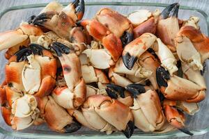 Stone crab claws. Colossal Crab claws served. Classic appetizer or entree, boiled Crab claws, seafood photo