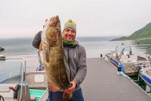 Fisherman with big cod fish. A Norwegian fisherman has caught a large Cod fish in Norwegian Fjord islands photo