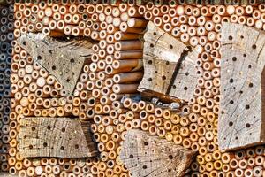 Detail of an insect hotel. An Inviting Haven for Insects, Exploring the Fascinating World of the Insect Hotel photo