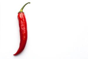 Single Red Chili Pepper photo