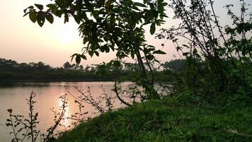 Evening Reflections on the Calm Pond video